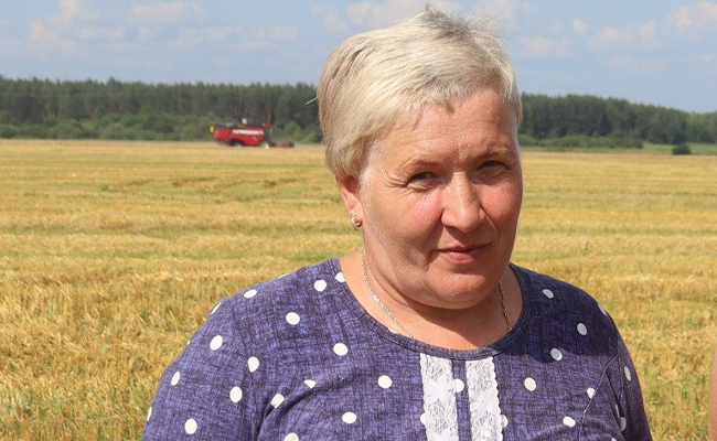 Нина Ивановна возглавляет производственный участок №2 КСУП «Совбел 2016»